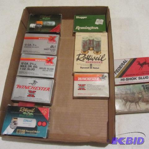 Shot Gun Ammo