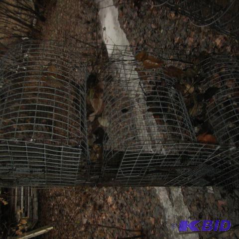 Rabbit Hutch