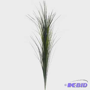 Anthrium, Onoin Grass & Stems