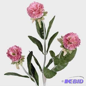 Planters and Assorted Stems