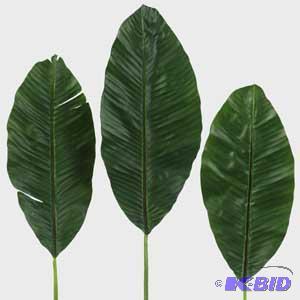Banana Leaf & Assorted Stems