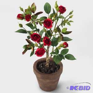 Sweetheart Rose Vase & Assorted Stems