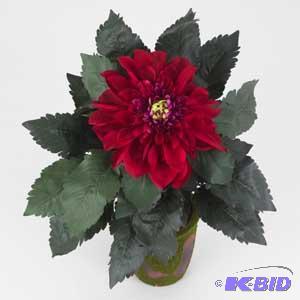 Assorted Stems & Plants