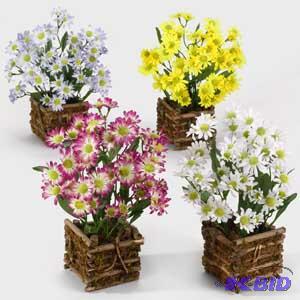 Square Daisy Basket