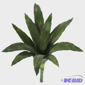 Assorted Stems & Plants