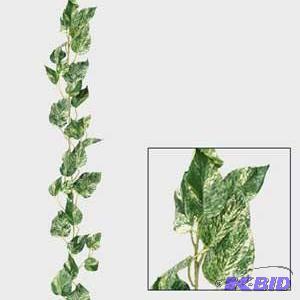 Foliage Bush