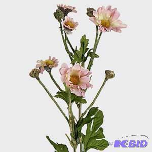 Flock Daisy Spray & More