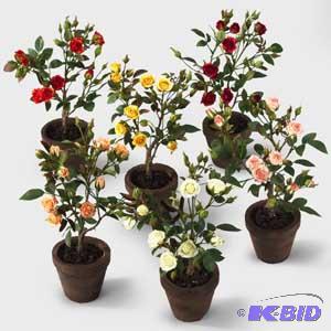 Sweethear Rose Pot