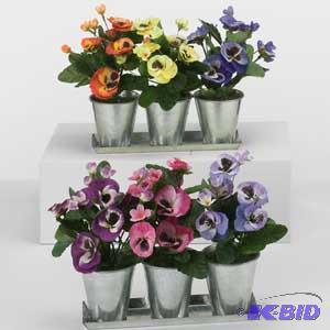 Pansy Mix