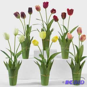 Tulip Planter
