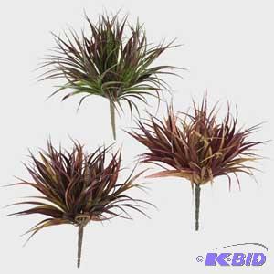 Himalayan Grass Bush