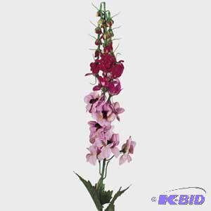 Delphirom Spray
