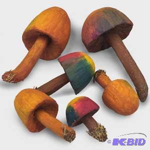 Toadstools, Plants & Stems