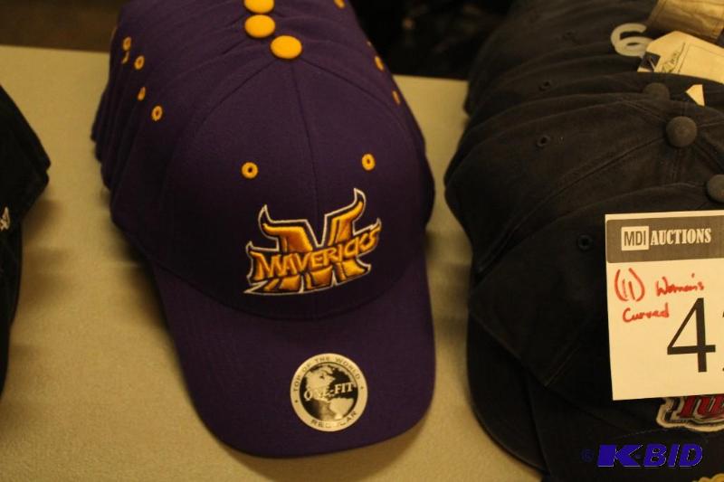 Officially Licensed Sports Teams Mankato Mavericks