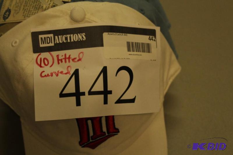 Officially Licensed Sports Teams (Zephyr, New Era) MN Twins