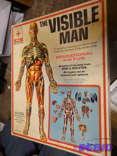 lot 107 image: Vintage Visible Man Model Kit. Unassembled...