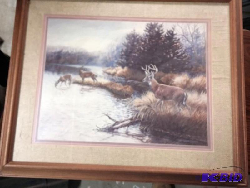 Wildlife