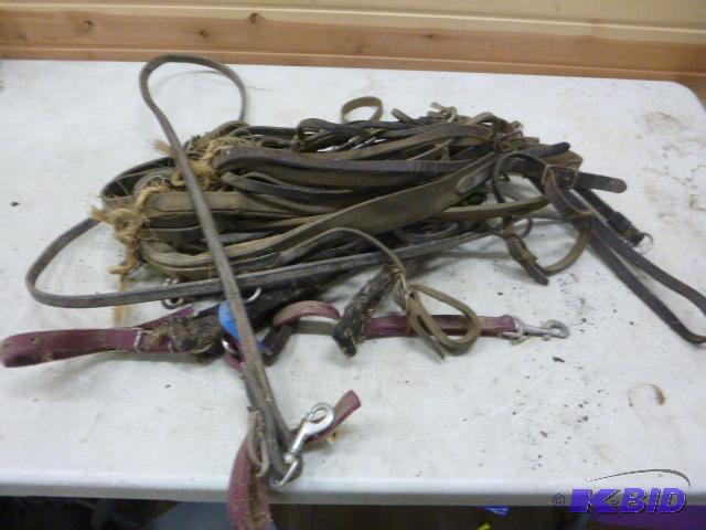 lot 183 image: Single Horse Harness...