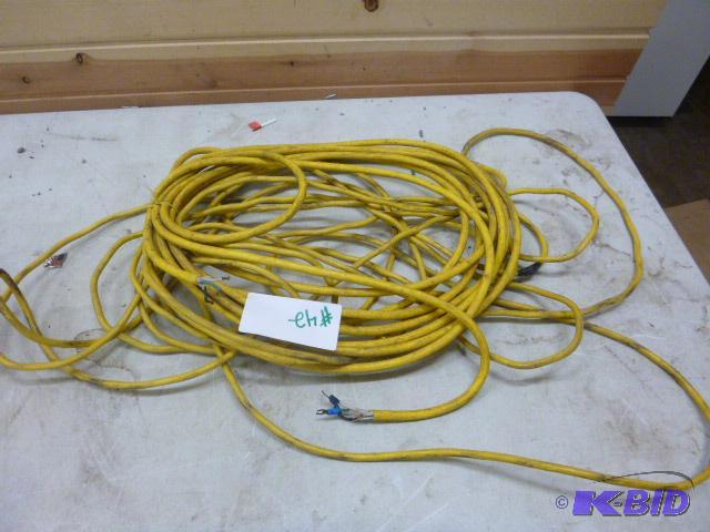 lot 42 image: Two Extension Cords No ends....