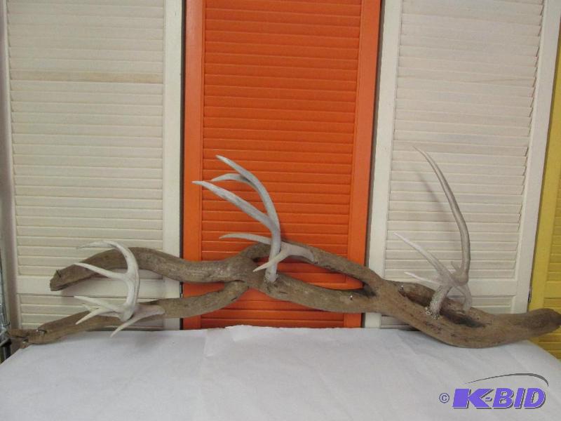 Vintage Antler Coat Rack - UNIQUE