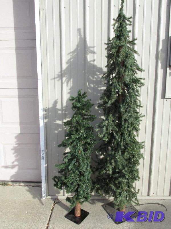 2 Really Nifty Trees for your Home