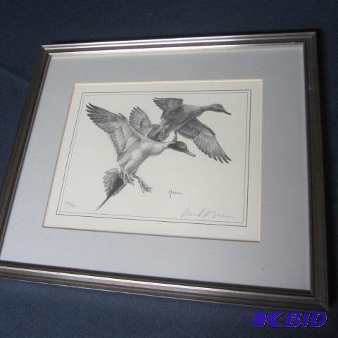 David Maass Limited Edition