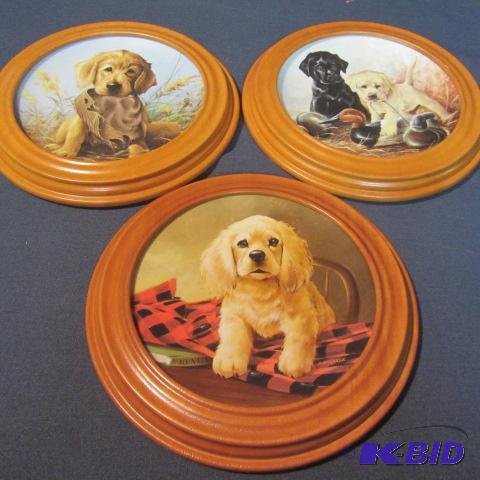 Lab, Spaniel Puppies