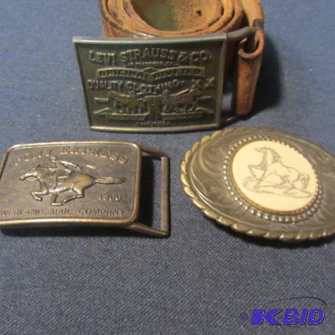 Levi, Pony Express, Horse
