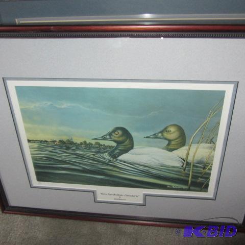 Canvasbacks Framed Print