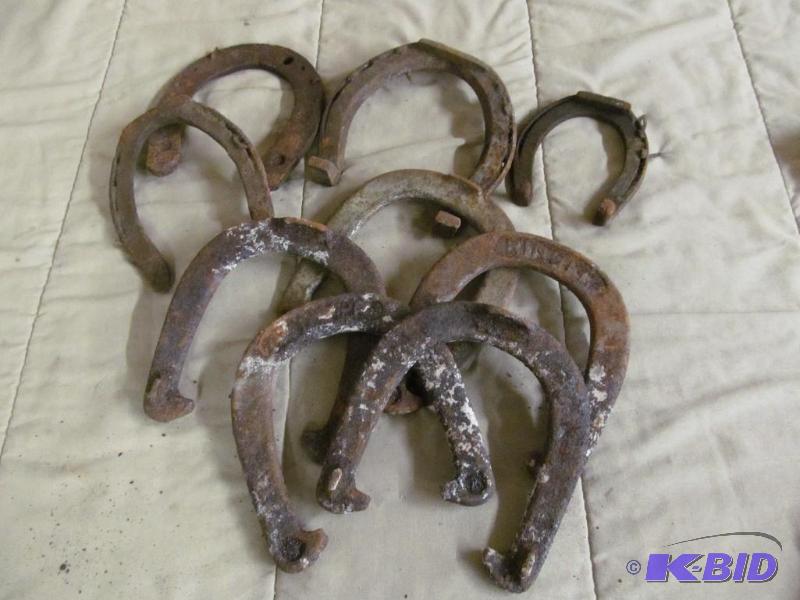 horse shoe