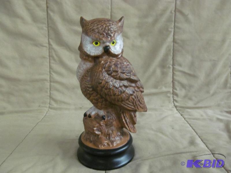 Owl