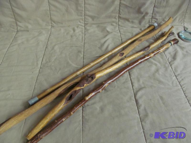 walking stick