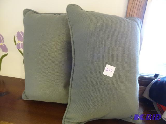 lot 257 image: 2 Throw Pillows...
