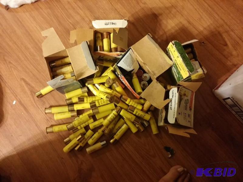 Large lot of Ammo as shown...