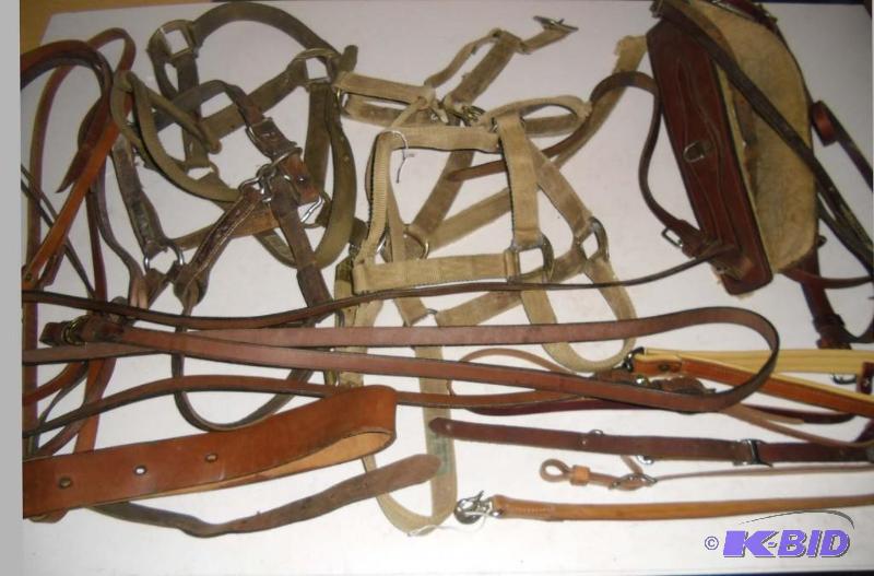 Cowboy - Lot Misc Horse Leather & Nylon