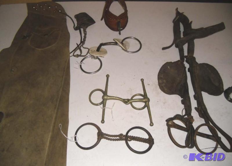 Western Theme - Bits, Bridle with Blinders, Stirrup, Chap