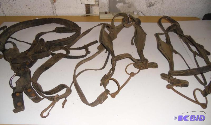 Cowboy Estate - Bridles with Blinders