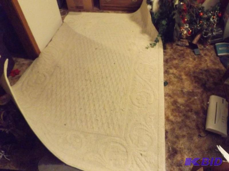 lot 105 image: area rug ...