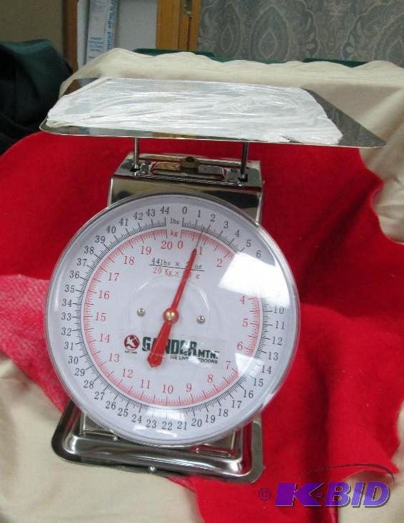 lot 61 image: Gander MTN Stainless Steel Kitchen Scale with...