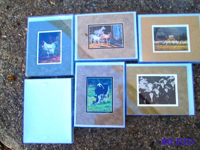 Set of 8.5 x 11 inch farm animal pictures in ...