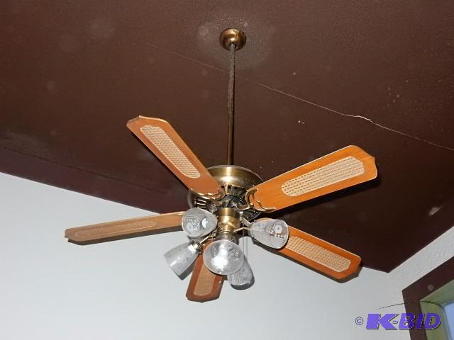 Five Blade, 52in Ceiling fan with lights.. Wo...