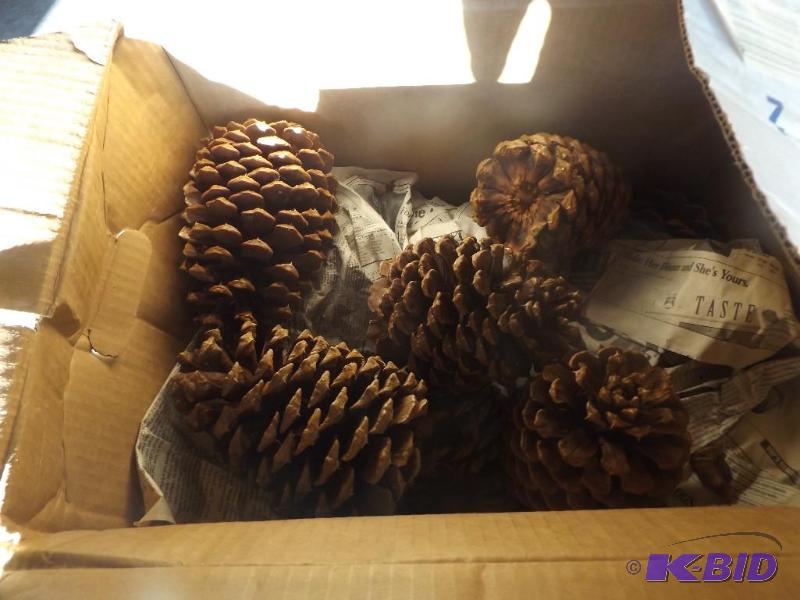 California Pine Cones...