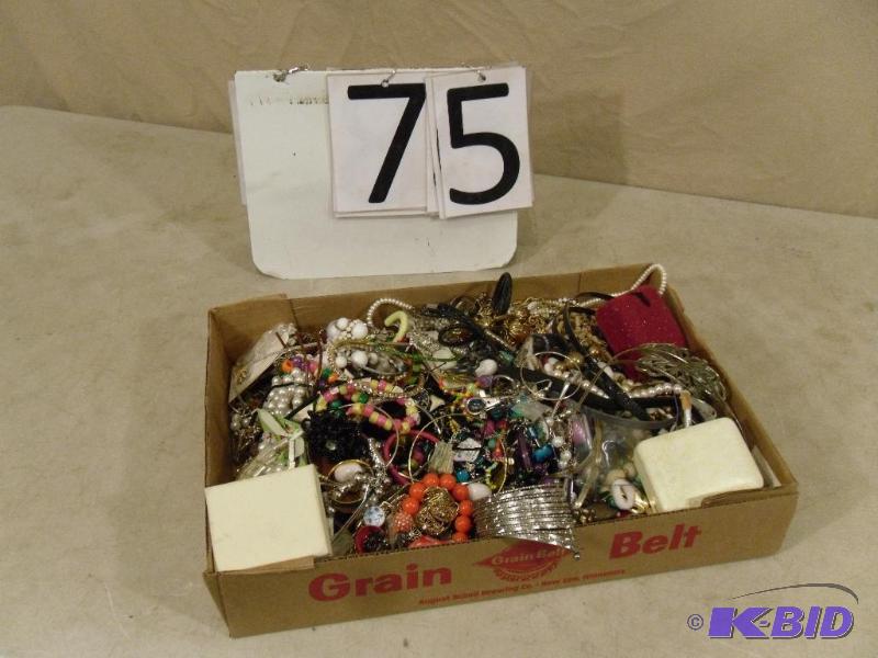 lot 75 image: HUGE Lot of Assorted Jewelry. Definetly worth...