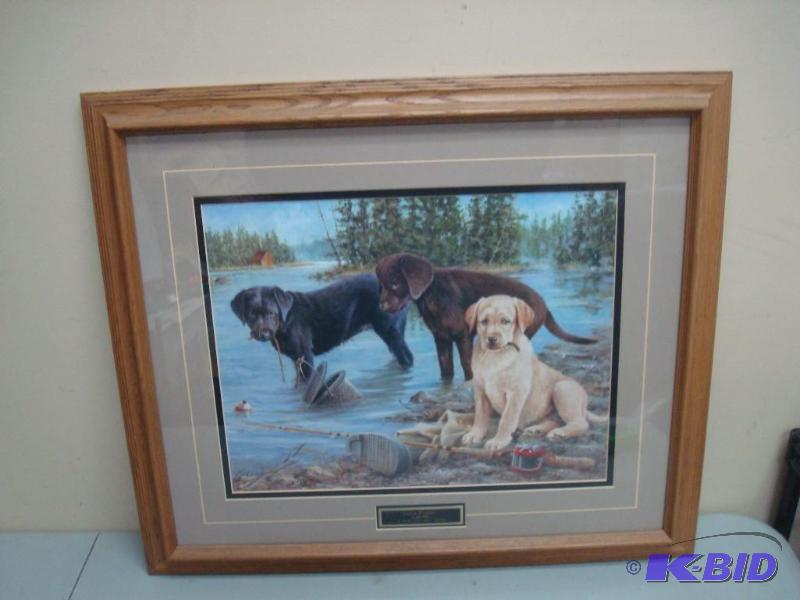 Framed Lab Picture...
