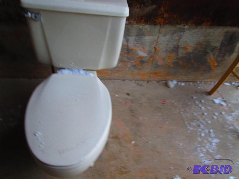 lot 24 image: Crane toilet with seat and flushing mechanism...