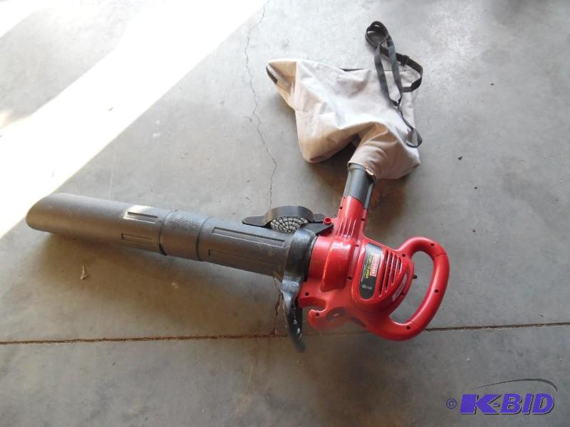lot 19 image: Leaf Blower