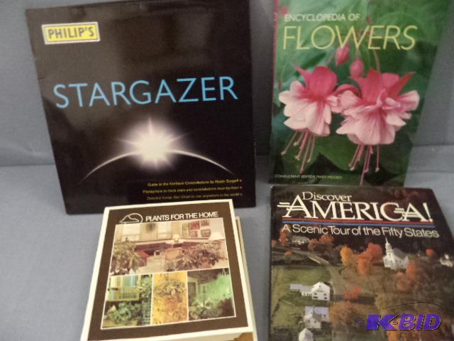 lot 166 image: Plants, Stargazer