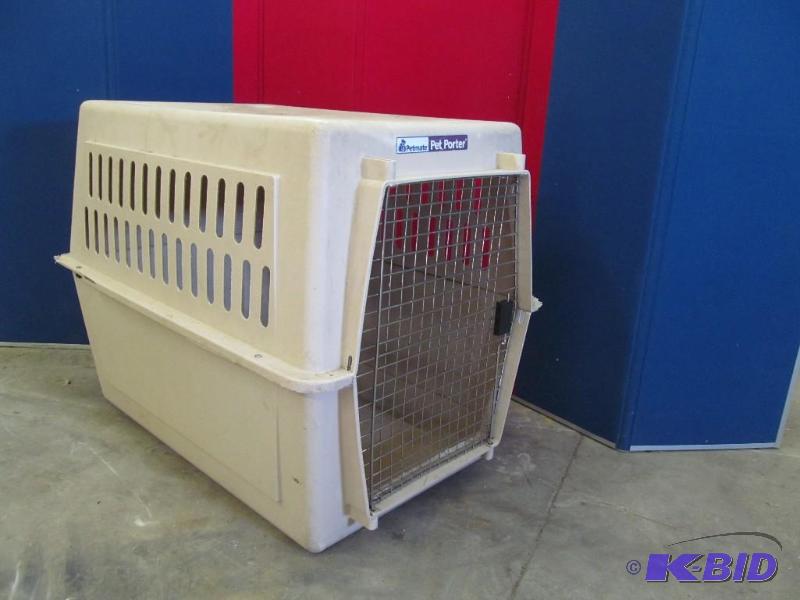 Pet