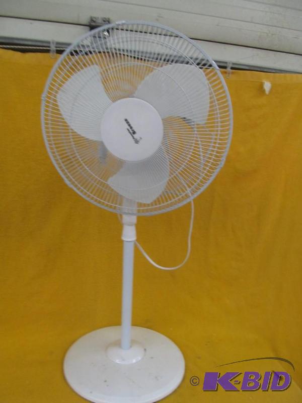 Fan