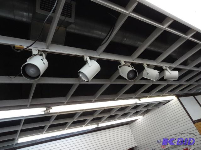 Track Lights System. Include Track plus 5 Lig...